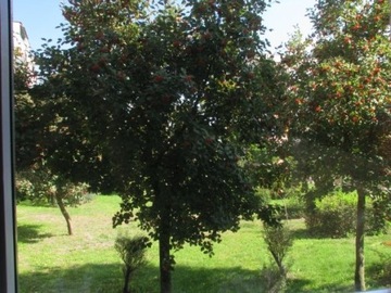 Поляризационный фильтр CPL MC Nano-X для GoPro Hero 12 11 10 9, черный K&F