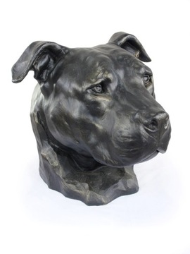 Amerykański Staffordshire Terrier Głowa Statuetka