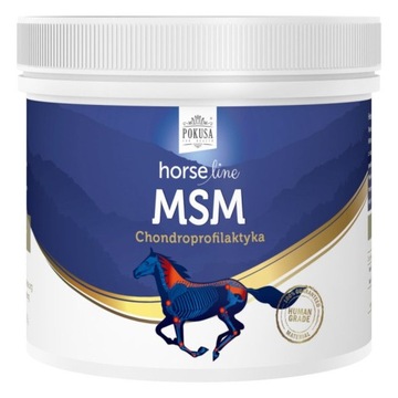 Suplement na stawy HORSE LINE MSM 500g