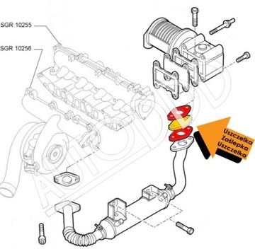 5 Заглушка EGR ALFA FIAT LANCIA OPEL 1.9 2.4 JTDM