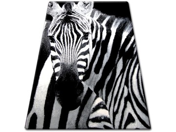 DYWANY ŁUSZCZÓW FLASH 120x170 ZEBRA #B034