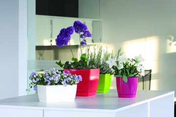 фото ориг. №4, Round flowerpot+stand 12x11cm casing gloss