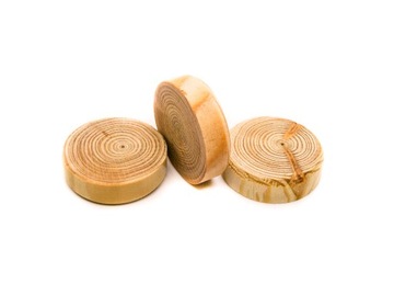 FLEKI GAŁĘZIOWE ZAPRAWKI SĘKI MODRZEW fi 20 mm 100