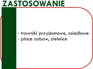 TRAWA nasiona TRAWNIK Sprint Grass 5kg Agro-Land !