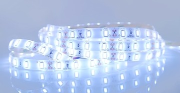 Светодиодная лента 5630 300LED IP65 водонепроницаемая ХОЛОДНАЯ 0,5м