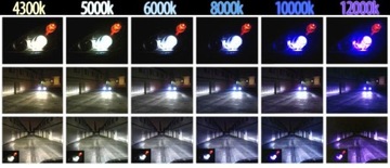 МАГАЗИН КСЕНОНОВЫХ ЛАМП H1 HID FILAMENT H1 6000K