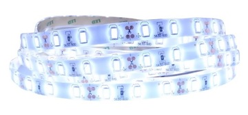 Taśma LED 5630 300LED IP65 wodoodporna ZIMNA 5m