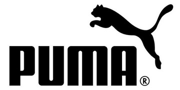 Футбольные бутсы Puma FUTURE 4.4 IT 107018-03 #36