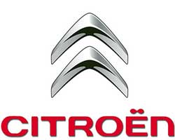 НОВЫЙ КОМПЛЕКТ ДИСКОВ И КОЛОДОК BOSCH ЗАДНИЙ CITROEN C2 C3 И C4 247мм RE