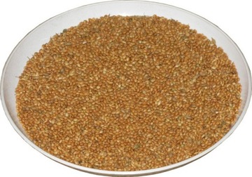 PROSO PASZOWE 1KG NA KARMA DLA PTAKÓW CZYSTE