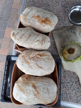 ПИЦЦА ХЛЕБ ПЕЧЬ ОТ ROMA WOOD