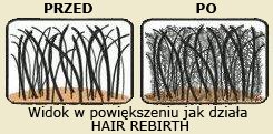 Hair Rebirth20 г натуральных утолщающих микроволокон