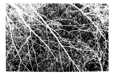Dywan Pluszowy Nature 4D 300x200 Aksamitny