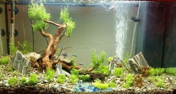 ДЕРЕВЯННЫЙ КАМЕНЬ ДЛЯ АКВАРИУМА 5 КГ.