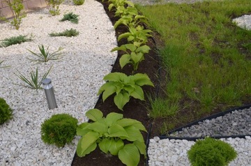 OBRZEŻE TRAWNIKOWE OGRODOWE Palisada 78mm EKO BORDER 7,8cm 40m + 200 KOTEW