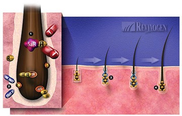 Revivogen Scalp Therapy для роста волос и облысения