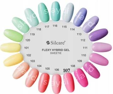 slay FLEXY HYBRID 101 flexi flex SILCARE PAINT