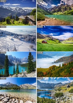 Plakat poster PSY KOTY ZWIERZĘTA 40x30 max wybór