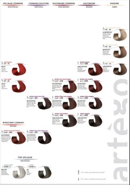 ARTEGO IT S COLOR PAINT 150мл + ОКИСЛИТЕЛЬ + БЕСПЛАТНО