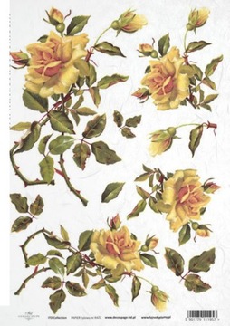 Papier Decoupage ryżowy R422