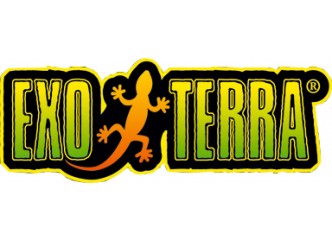 ИСКОПАЕМЫЕ ЯЙЦА ДИНОЗАВРОВ EXO-TERRA L