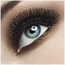 DELIA - ТУШЬ для ресниц 3D LASHES NEW LOOK черная 12м