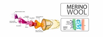 ТРЕККИНГОВЫЕ НОСКИ 80% МЕРИНОСОВАЯ ШЕРСТЬ С СЕРЕБРЯНЫМ ИОНОМ