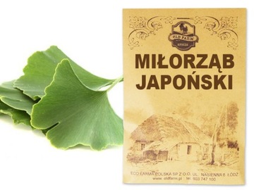 MIŁORZĄB JAPOŃSKI 100G GINKO BILOBA SUSZONE LIŚCIE