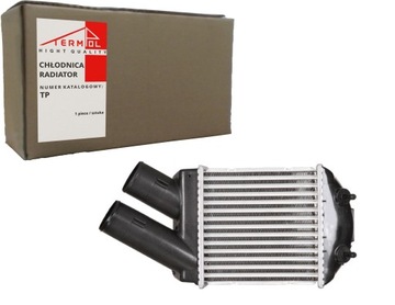 INTERCOOLER RENAULT MEGANE SCENIC 1.9 95-