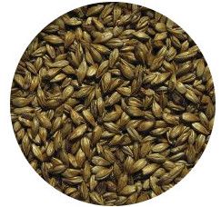 Słód KARMELOWY 100 Viking Malt 1kg