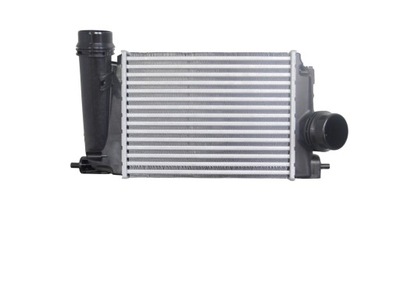 Радіатор інтеркулер renault talisman 15- 1.5 dci d фото №1