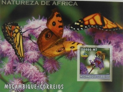 PSZCZOŁY pszczoła Mozambik arkusik #MOZ2273