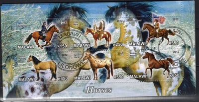 AT1629 Malawi konie kas