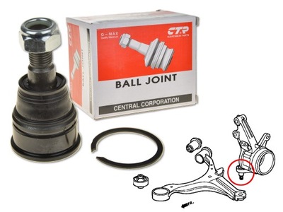 CTR CBHO-30 COUDE SUPPORTS / PROWADZACY - milautoparts-fr.ukrlive.com