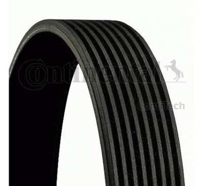 CONTINENTAL 8PK1478 BELT WEDGE MULTI-RIBBED - milautoparts-fr.ukrlive.com