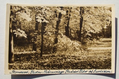 ŁOWICZ NIEBORÓW GRAGMENT PARKU RADZIWIŁŁÓW 1952