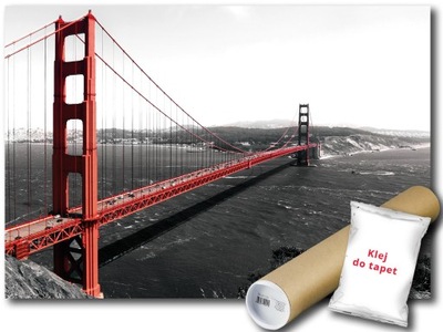 FOTOTAPETA SAN FRANCISCO 1B FM 104x70,5 F154