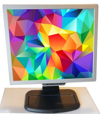 LCD monitor 19" 4:3 Pixelmaker 19KM