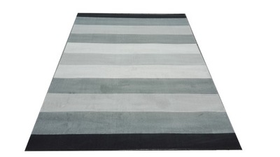 Dywan CANVAS 160X230 Scandinavia PASY SZARE HIT