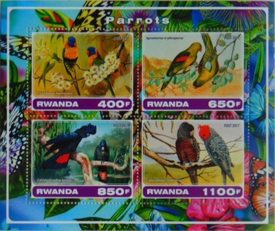 PAPUGI papuga ptaki Rwanda NOWOŚĆ (**) #VG2222