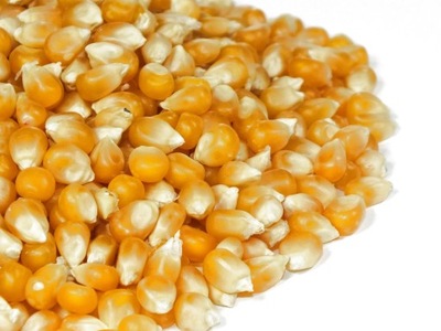 POPCORN aż 300g od Skworcu