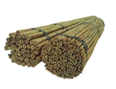 TYCZKI BAMBUSOWE 180 cm 16/18 mm /100szt, bambus