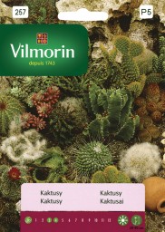 СМЕСЬ ВИДОВ КАКТИЙ И СУККУЛЕНТОВ – САМЫЕ КРАСИВЫЕ