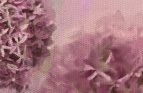 038 Картина на холсте ЦВЕТЫ 120х50см