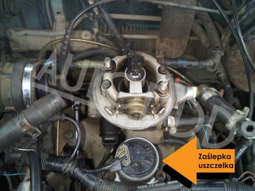2 Пробка EGR OPEL 1.4 1.6, пробка сверху клапана
