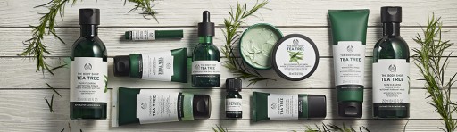 THE BODY SHOP ЧАЙНОЕ ДЕРЕВО СКРАБ-СКРАБ ДЛЯ ЧИСТКИ Пилинг для лица 100 мл Акне