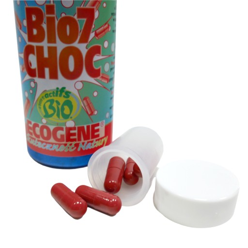 Bio 7 CHOC STARTER EGR BACTERIA START запуск очистных сооружений Септик 5 ДОЗ