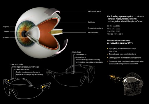 СЕРТИФИКАТ очков для бега CAterpillar SHIELD 100!