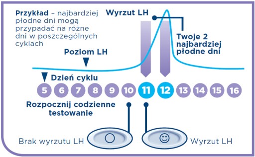 Цифровой тест на овуляцию CLEARBLUE 10 шт.