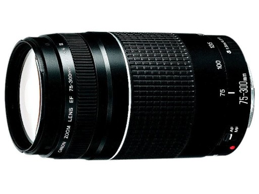 Canon 70–300 мм f/4,0–5,6 EF IS II USM ZOOM 4,3x